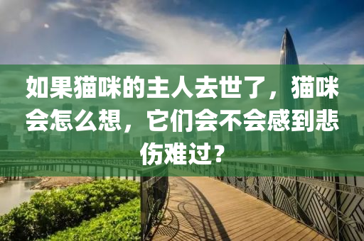 如果貓咪的主人去世了，貓咪會(huì)怎么想，它們會(huì)不會(huì)感到悲傷難過？