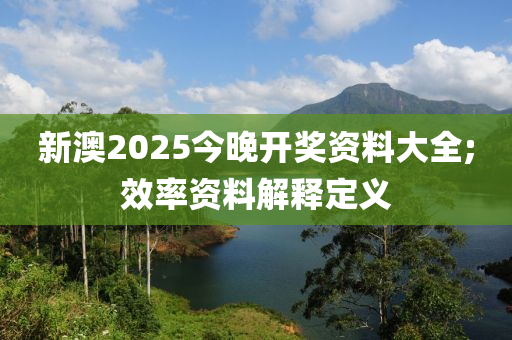 新澳2025今晚開獎資料大全;效率資料解釋定義