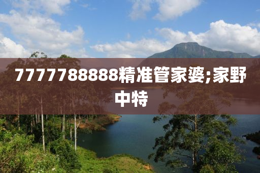 7777788888精準(zhǔn)管家婆;家野中特