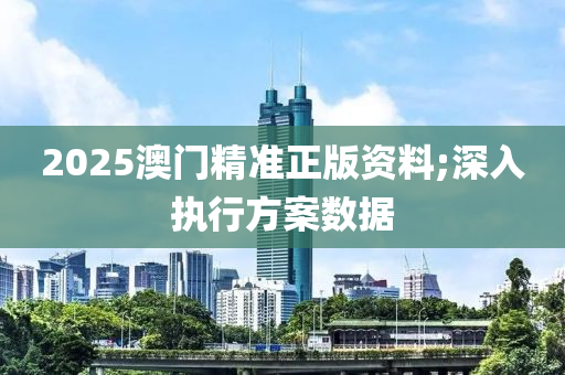 2025澳門精準(zhǔn)正版資料;深入執(zhí)行方案數(shù)據(jù)