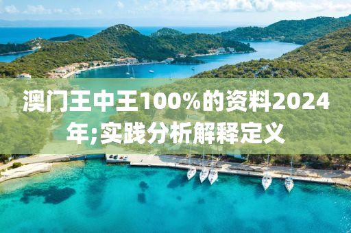 澳門王中王100%的資料2024年;實(shí)踐分析解釋定義