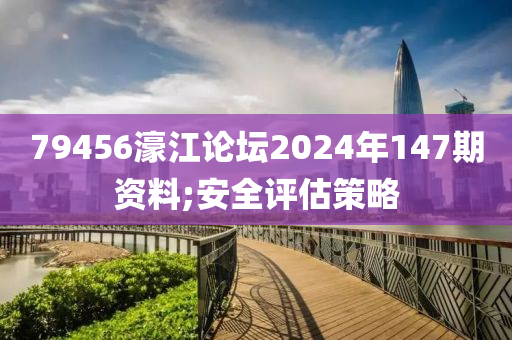 79456濠江論壇2024年147期資料;安全評估策略