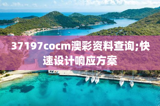 37197cocm澳彩資料查詢;快速設計響應方案