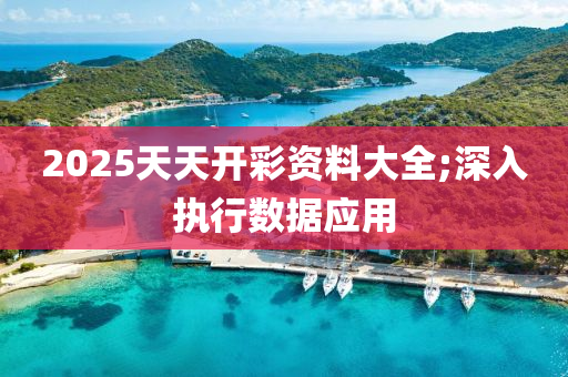 2025天天開彩資料大全;深入執(zhí)行數據應用