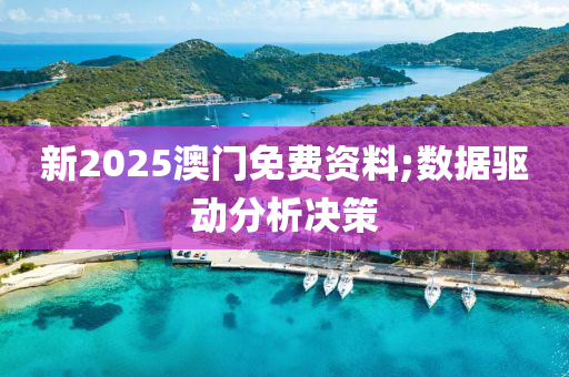 新2025澳門免費資料;數(shù)據(jù)驅(qū)動分析決策