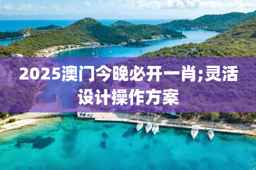 2025澳門今晚必開一肖;靈活設(shè)計(jì)操作方案