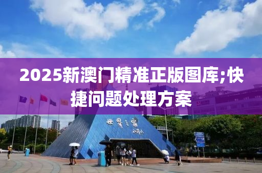 2025新澳門精準(zhǔn)正版圖庫;快捷問題處理方案