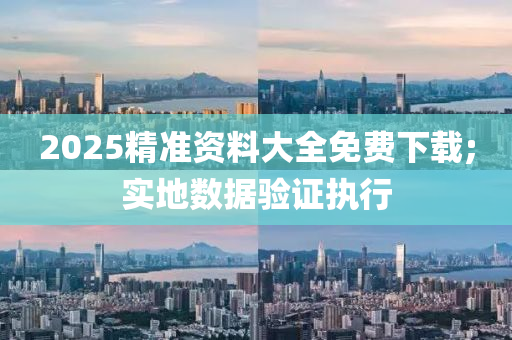 2025精準(zhǔn)資料大全免費下載;實地數(shù)據(jù)驗證執(zhí)行