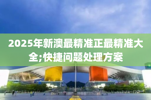 2025年新澳最精準正最精準大全;快捷問題處理方案