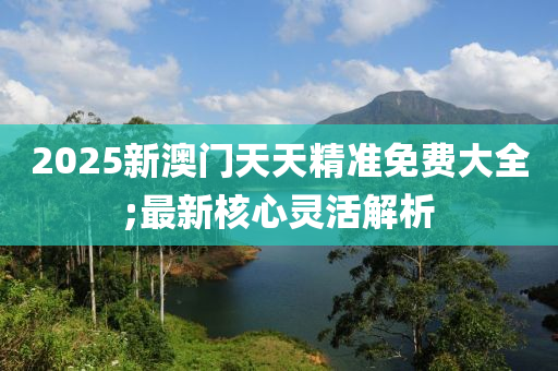 2025新澳門天天精準(zhǔn)免費(fèi)大全;最新核心靈活解析