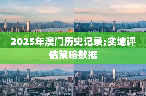 2025年澳門歷史記錄;實地評估策略數(shù)據(jù)