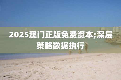 2025澳門正版免費(fèi)資本;深層策略數(shù)據(jù)執(zhí)行