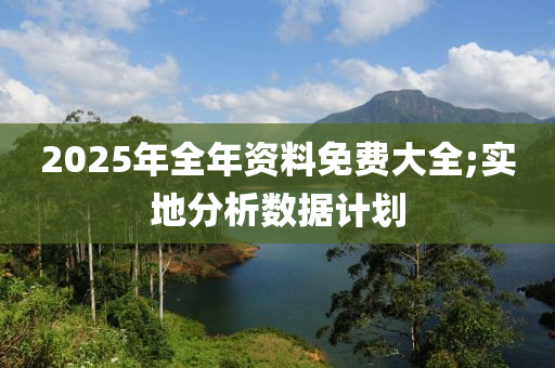 2025年全年資料免費大全;實地分析數(shù)據(jù)計劃