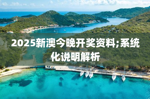 2025新澳今晚開獎資料;系統(tǒng)化說明解析