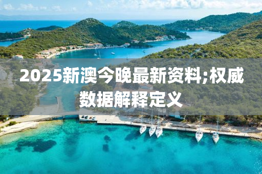 2025新澳今晚最新資料;權(quán)威數(shù)據(jù)解釋定義