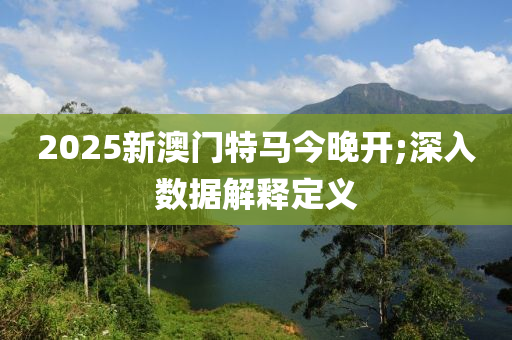 2025新澳門特馬今晚開;深入數(shù)據(jù)解釋定義