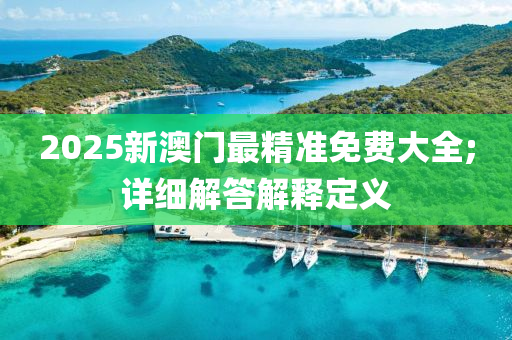 2025新澳門最精準(zhǔn)免費(fèi)大全;詳細(xì)解答解釋定義