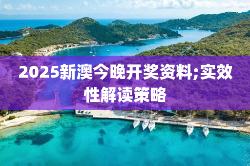 2025新澳今晚開獎資料;實效性解讀策略