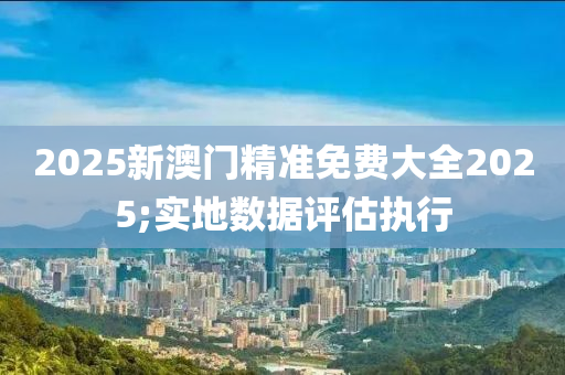 2025新澳門精準(zhǔn)免費(fèi)大全2025;實(shí)地?cái)?shù)據(jù)評(píng)估執(zhí)行