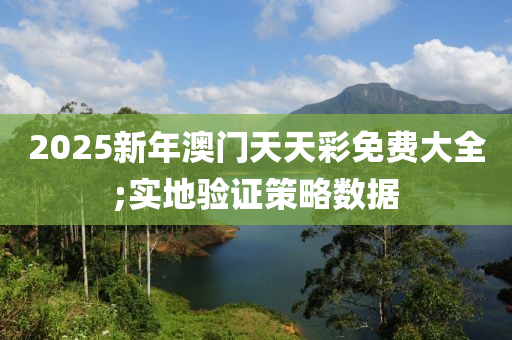 2025新年澳門天天彩免費(fèi)大全;實(shí)地驗(yàn)證策略數(shù)據(jù)