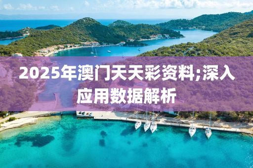 2025年澳門天天彩資料;深入應(yīng)用數(shù)據(jù)解析