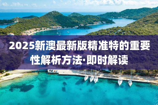 2025新澳最新版精準特的重要性解析方法·即時解讀