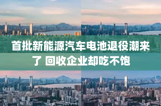 首批新能源汽車電池退役潮來(lái)了 回收企業(yè)卻吃不飽