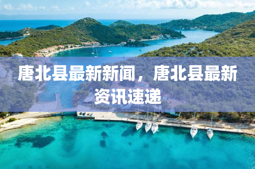 唐北縣最新新聞，唐北縣最新資訊速遞