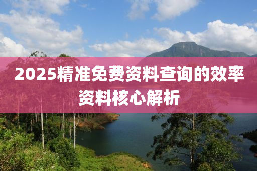 2025精準(zhǔn)免費(fèi)資料查詢(xún)的效率資料核心解析