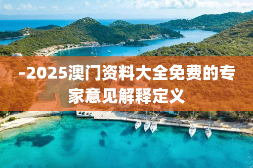 -2025澳門資料大全免費(fèi)的專家意見(jiàn)解釋定義