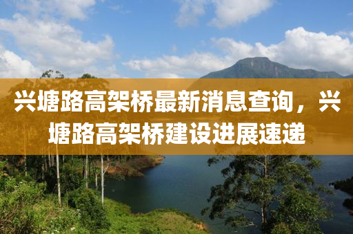 興塘路高架橋最新消息查詢，興塘路高架橋建設進展速遞