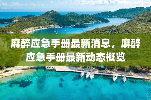 麻醉應急手冊最新消息，麻醉應急手冊最新動態(tài)概覽