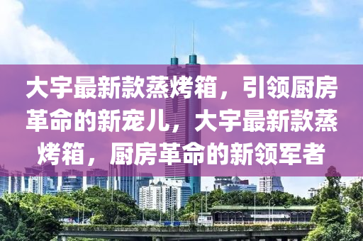 大宇最新款蒸烤箱