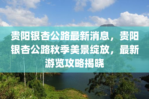 貴陽銀杏公路最新消息，貴陽銀杏公路秋季美景綻放，最新游覽攻略揭曉