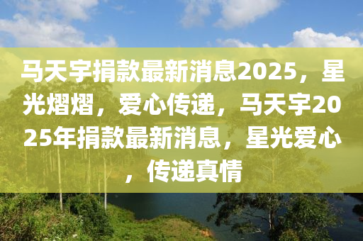 馬天宇捐款最新消息