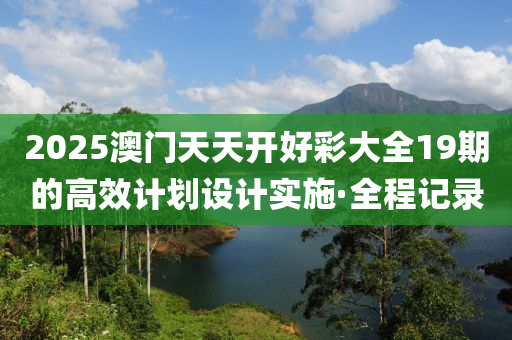 2025澳門天天開好彩大全19期的高效計劃設計實施·全程記錄