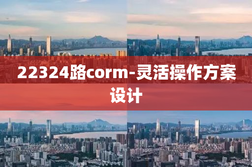 22324路corm-靈活操作方案設(shè)計(jì)