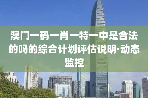 澳門一碼一肖一特一中是合法的嗎的綜合計劃評估說明·動態(tài)監(jiān)控