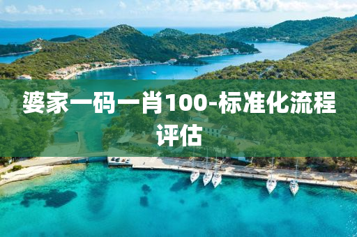 婆家一碼一肖100-標準化流程評估