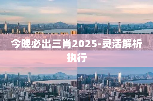 今晚必出三肖2025-靈活解析執(zhí)行