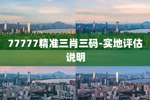 77777精準(zhǔn)三肖三碼-實(shí)地評(píng)估說明