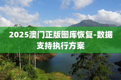 2025澳門正版圖庫(kù)恢復(fù)-數(shù)據(jù)支持執(zhí)行方案