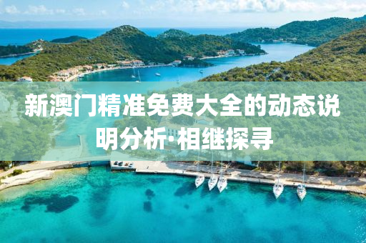 新澳門精準免費大全的動態(tài)說明分析·相繼探尋