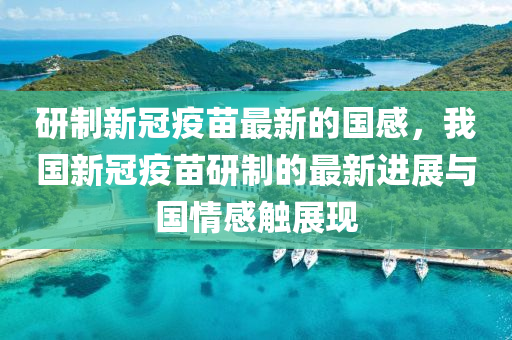 研制新冠疫苗最新的國感，我國新冠疫苗研制的最新進(jìn)展與國情感觸展現(xiàn)