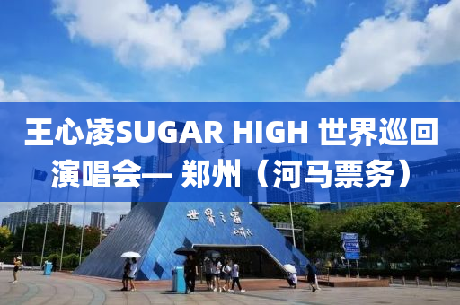 王心凌SUGAR HIGH 世界巡回演唱會— 鄭州（河馬票務(wù)）