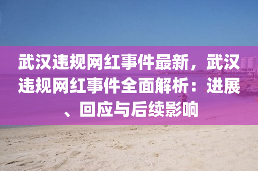 武漢違規(guī)網(wǎng)紅事件最新，武漢違規(guī)網(wǎng)紅事件全面解析：進(jìn)展、回應(yīng)與后續(xù)影響