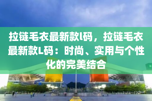 拉鏈毛衣最新款l碼，拉鏈毛衣最新款L碼：時(shí)尚、實(shí)用與個(gè)性化的完美結(jié)合