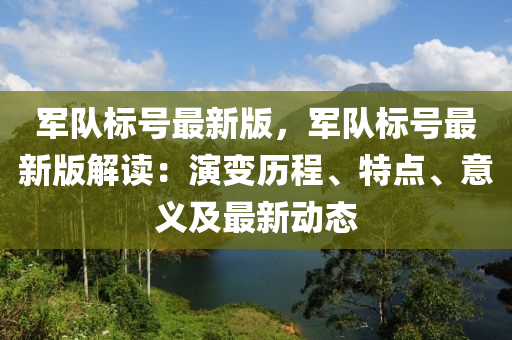 軍隊標號最新版，軍隊標號最新版解讀：演變歷程、特點、意義及最新動態(tài)