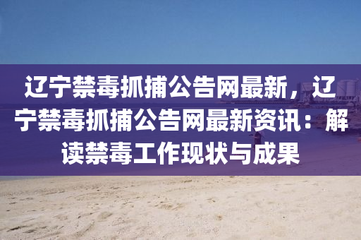 遼寧禁毒抓捕公告網(wǎng)最新，遼寧禁毒抓捕公告網(wǎng)最新資訊：解讀禁毒工作現(xiàn)狀與成果