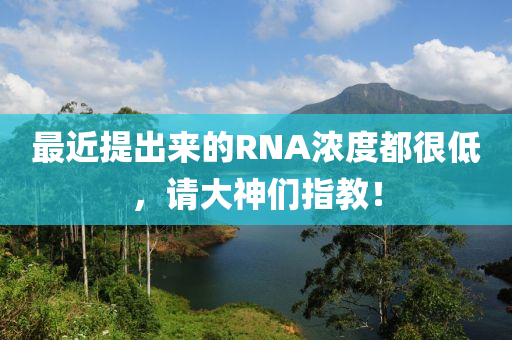 最近提出來的RNA濃度都很低，請大神們指教！